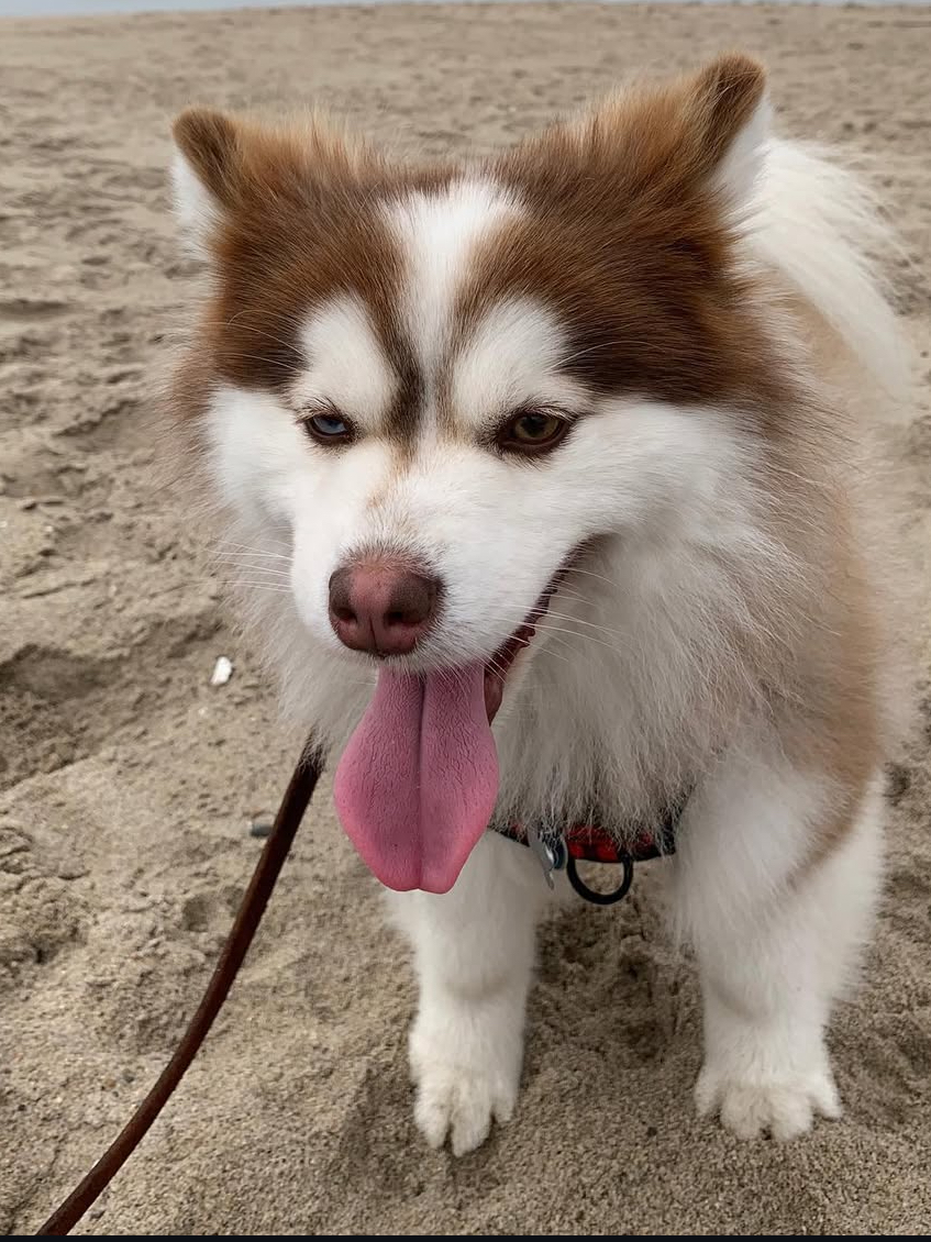 Kumo